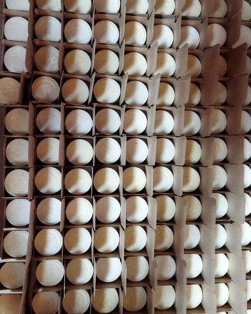 Trio Hair Care Pack - Organic Solid Shampoo, Organic Concentrated Hair