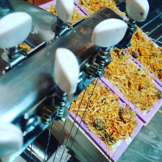 Organic Certified Solid Soap - Cedarwood with Bladderwrack 90g